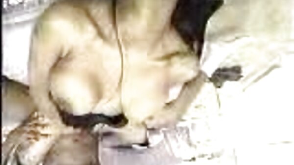 يتم اختراق افلام سكس مترجم اخ واخته رفاقا فتاة شقراء بروك وجيسي في الثلاثي
